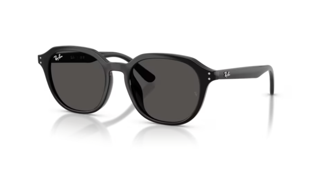 Ray-Ban RB4459D