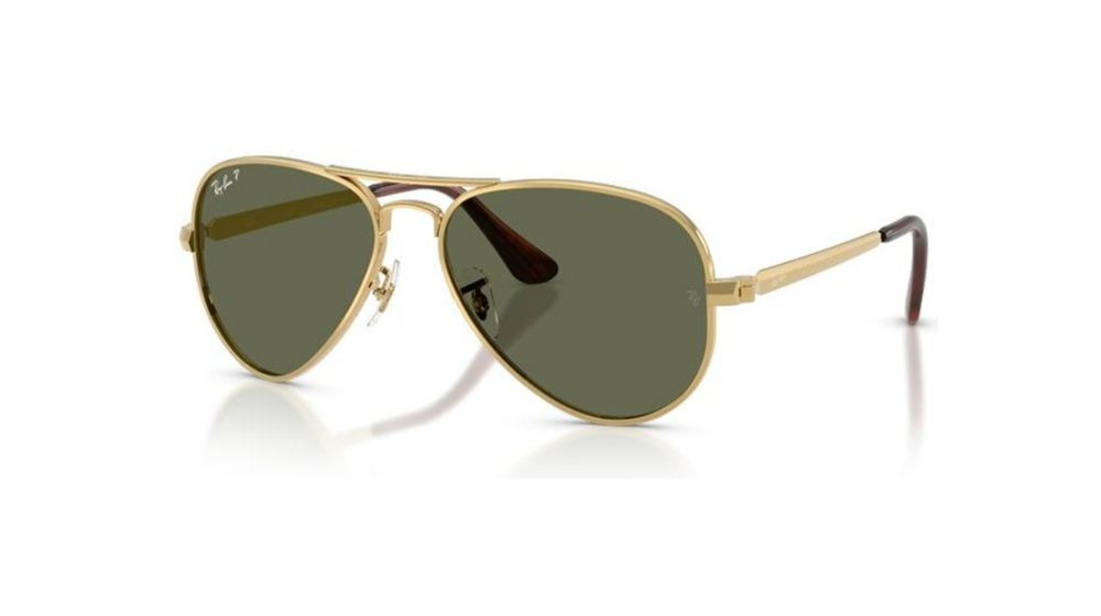 Ray-Ban RB3925 AVIATOR MAX