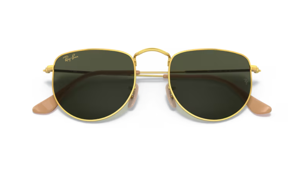 Ray-Ban RB3958 ELON