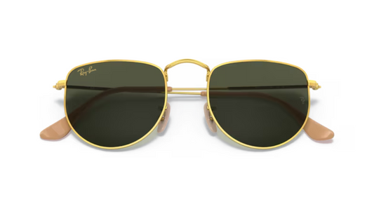 Ray-Ban RB3958 ELON